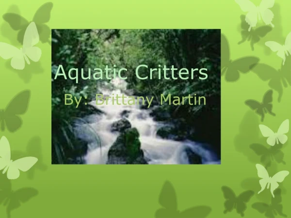 Aquatic Critters