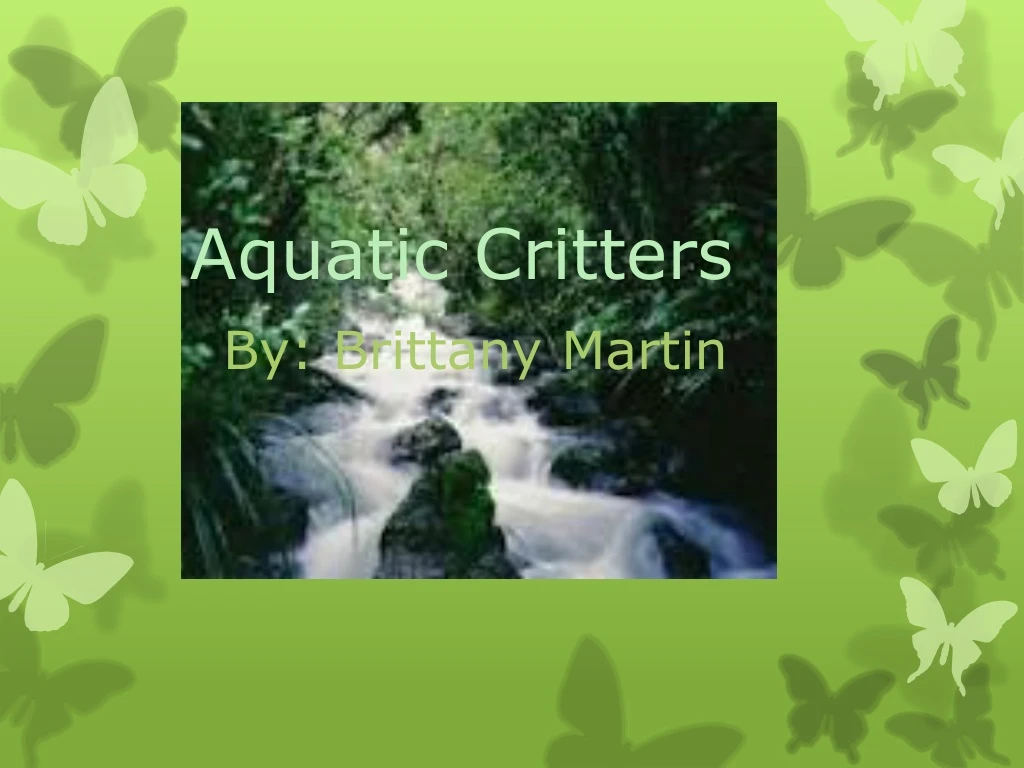 aquatic critters