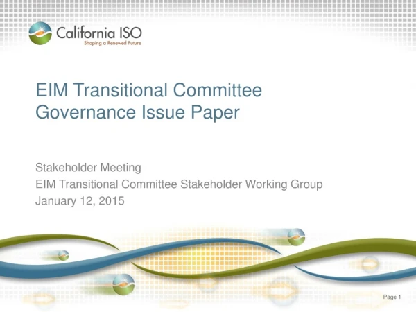 EIM Transitional Committee  Governance Issue Paper