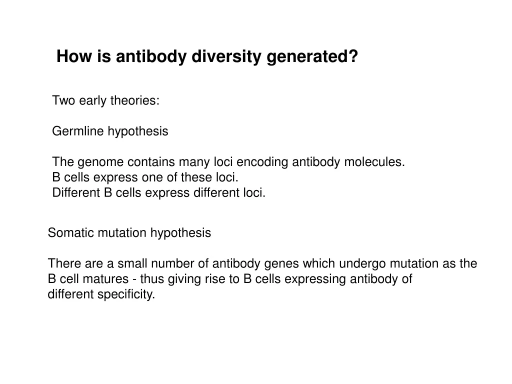 how is antibody diversity generated