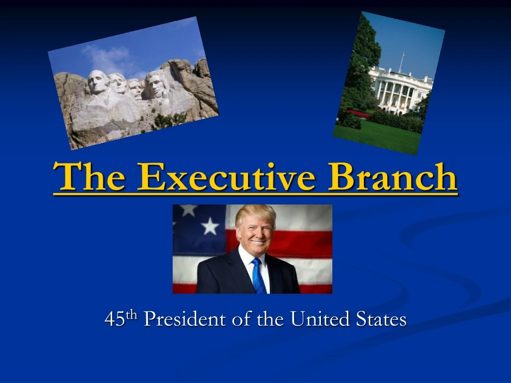 the executive branch