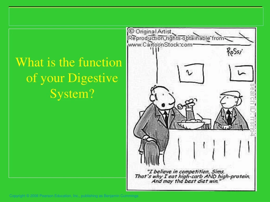 what is the function of your digestive system
