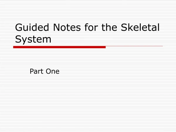 Guided Notes for the Skeletal System