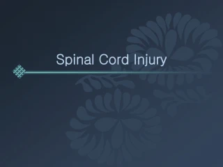 PPT - Spinal Cord Injury PowerPoint Presentation, free download - ID ...