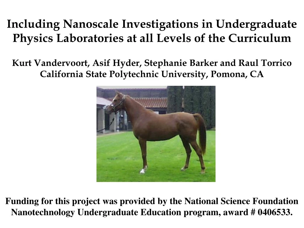 including nanoscale investigations