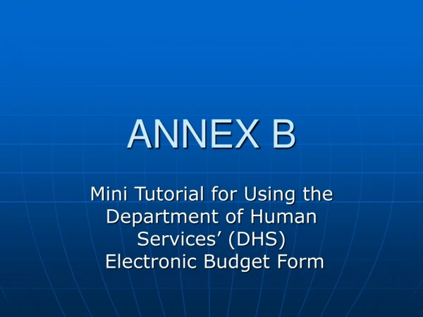 ANNEX B