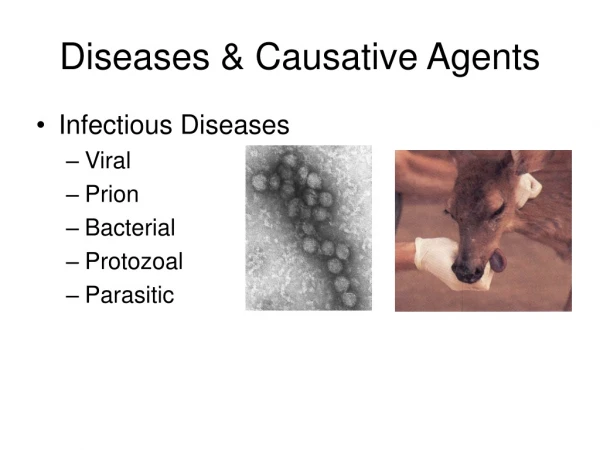 Diseases &amp; Causative Agents