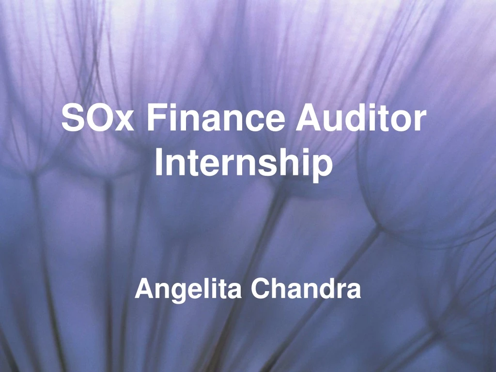 sox finance auditor internship