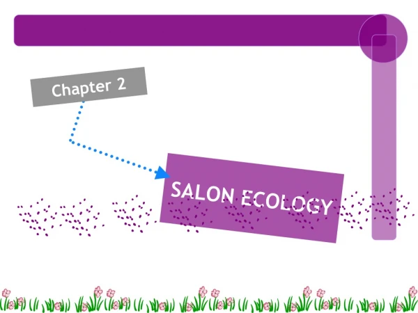 SALON ECOLOGY