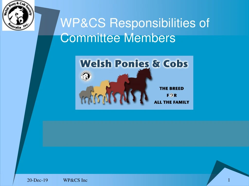 wp cs responsibilities of committee members