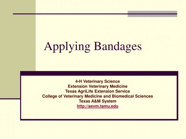 Applying Bandages