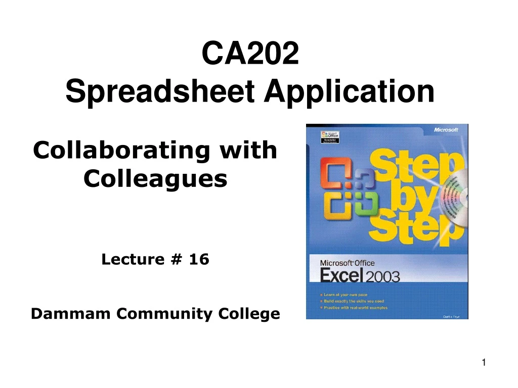 ca202 spreadsheet application