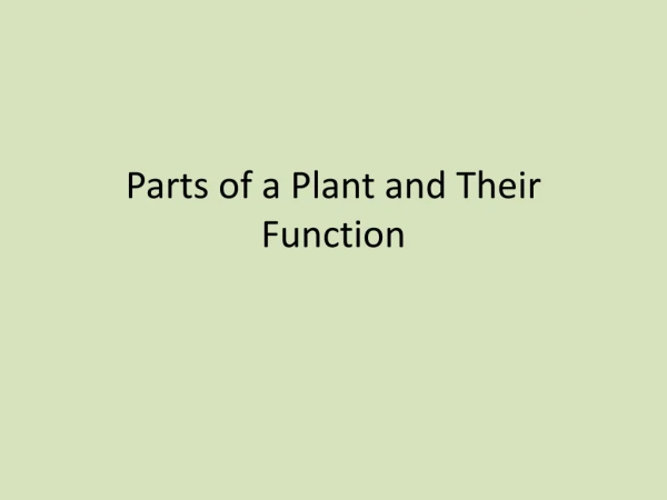 Parts of a Plant and Their Function
