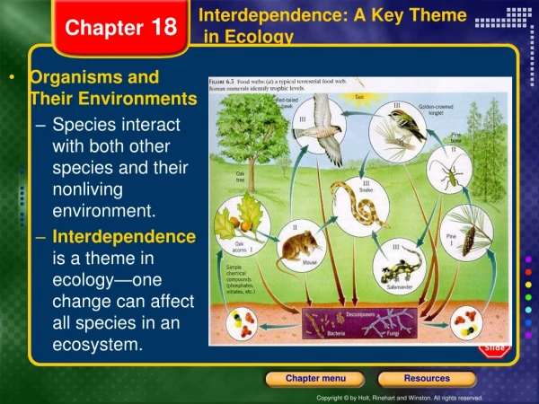 Interdependence: A Key Theme  in Ecology