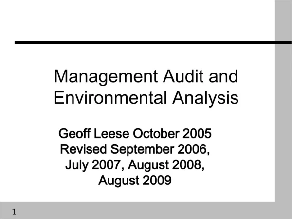 Management Audit and Environmental Analysis