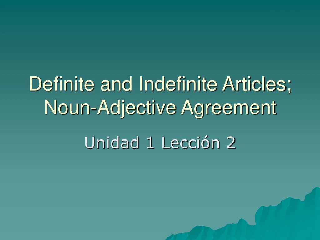 definite and indefinite articles noun adjective agreement
