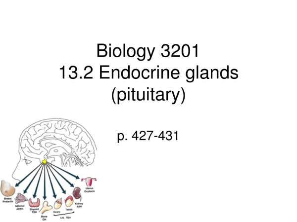 Biology 3201 13.2 Endocrine glands (pituitary)