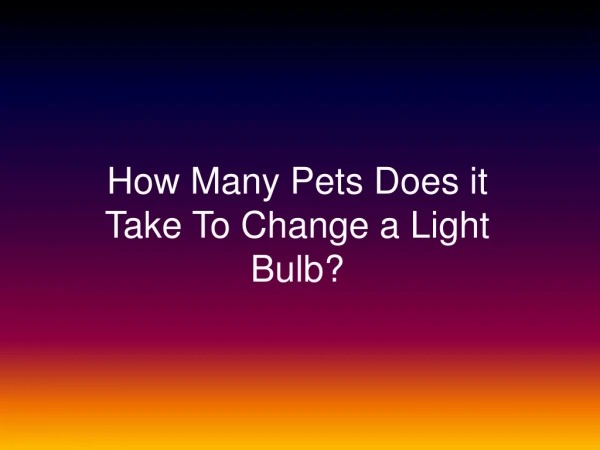 How Many Pets Does it Take To Change a Light Bulb?