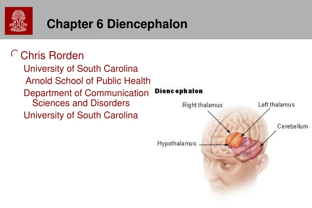 chapter 6 diencephalon