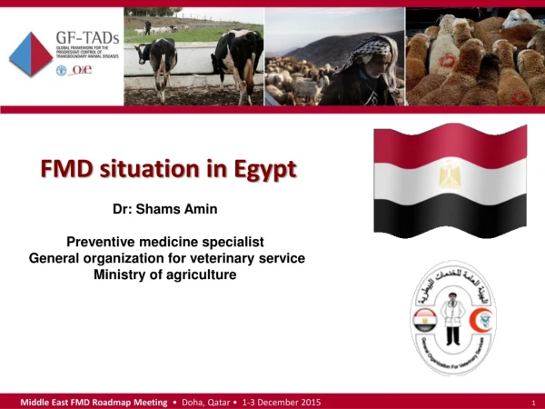 FMD situation in Egypt  Dr: Shams  Amin Preventive medicine specialist