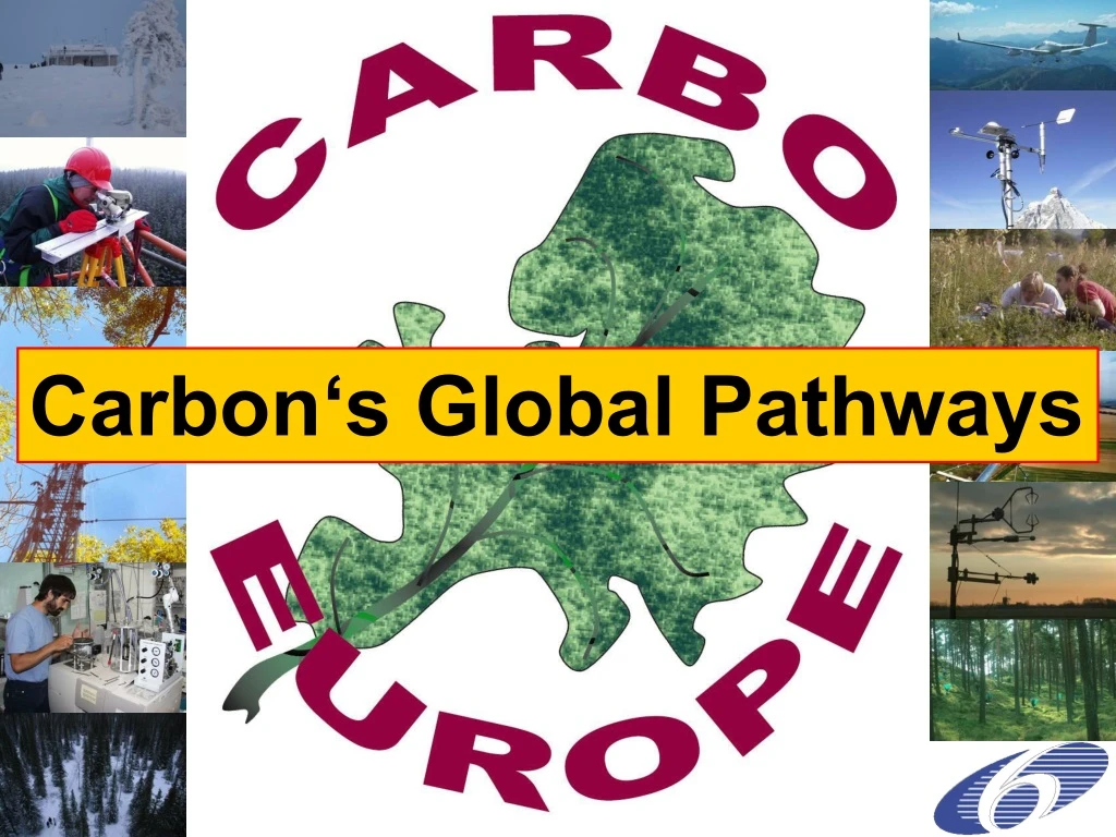 carbon s global pathways
