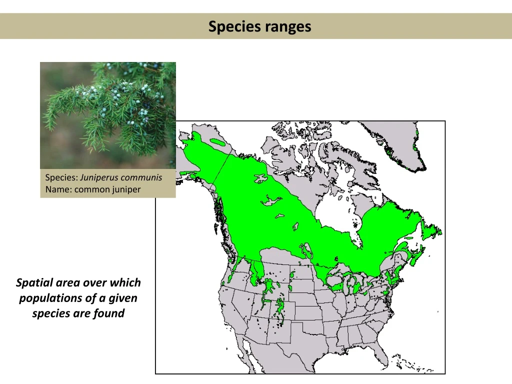 species ranges