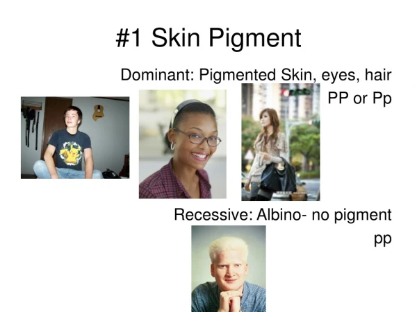 #1 Skin Pigment
