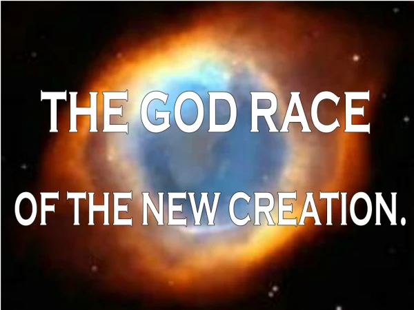 THE GOD RACE