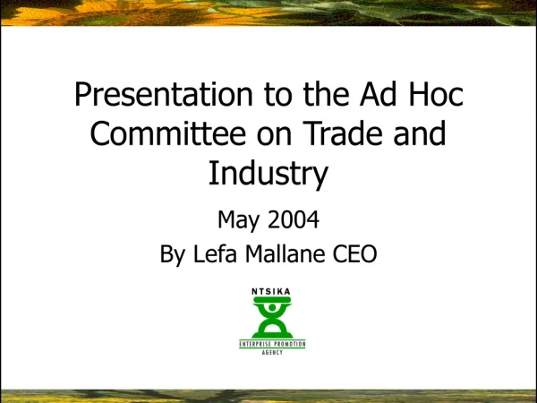 Presentation to the Ad Hoc Committee on Trade and Industry