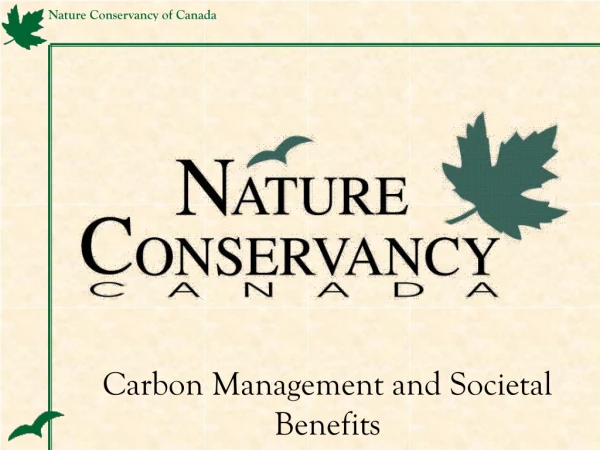 Carbon Management and Societal Benefits