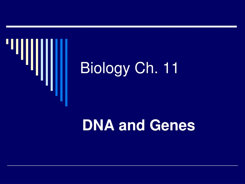 biology ch 11