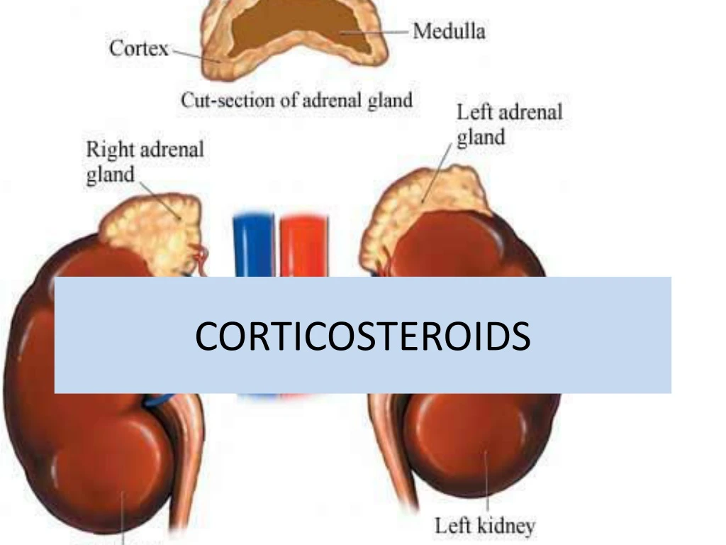 corticosteroids