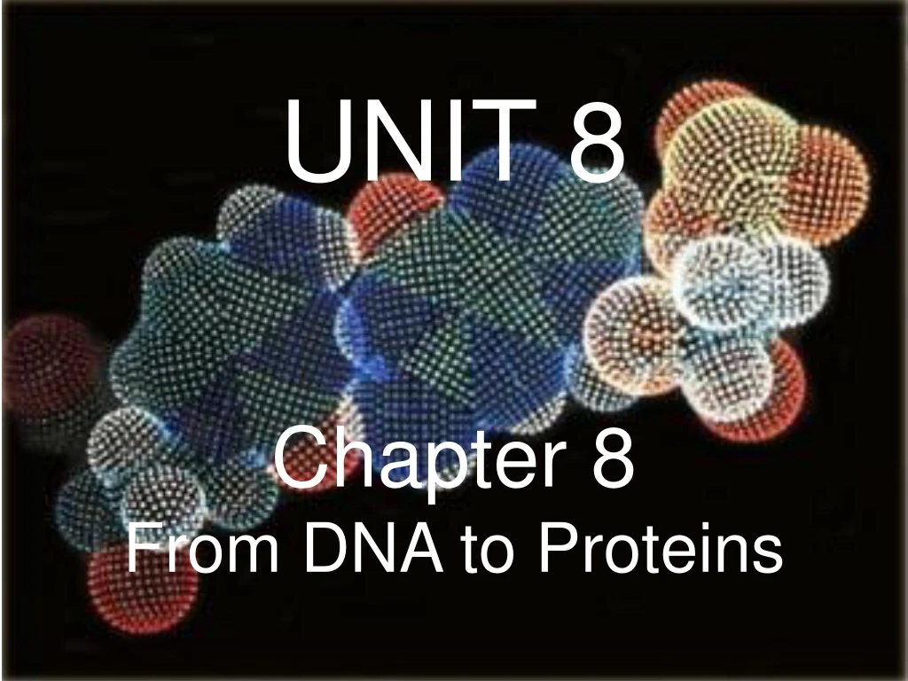 unit 8 chapter 8 from dna to proteins