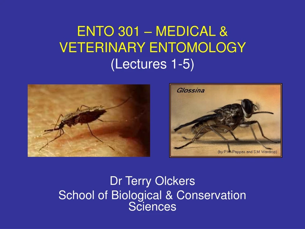 ento 301 medical veterinary entomology lectures 1 5