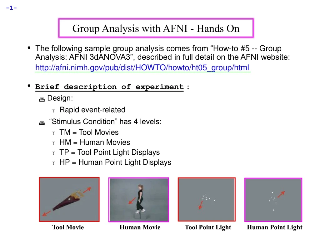 group analysis with afni hands on