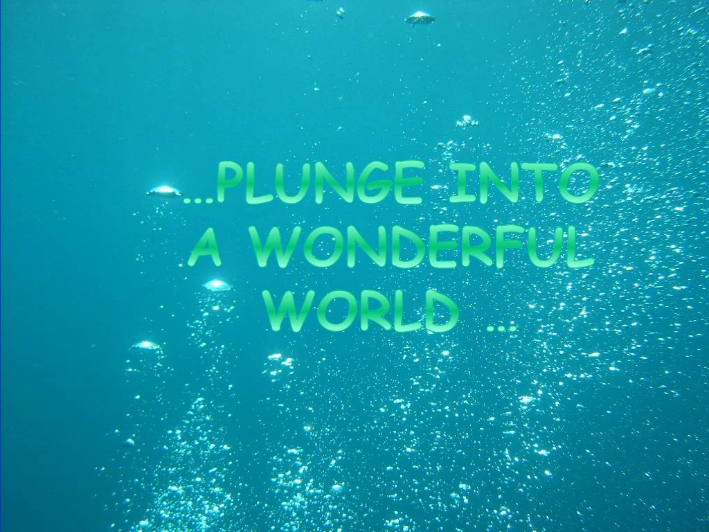 plunge into a wonderful world