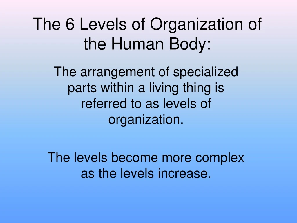 the 6 levels of organization of the human body