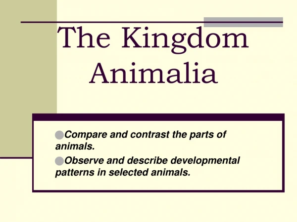 The Kingdom Animalia