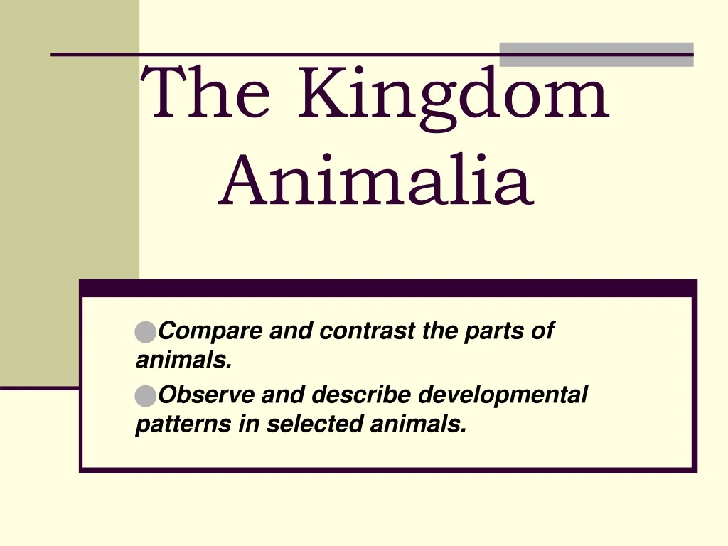 the kingdom animalia