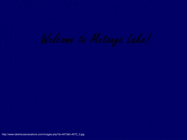 Welcome to Metonga Lake!