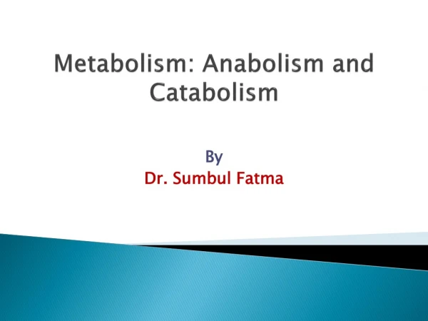 Metabolism: Anabolism and Catabolism