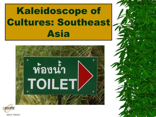Kaleidoscope of Cultures: Southeast Asia