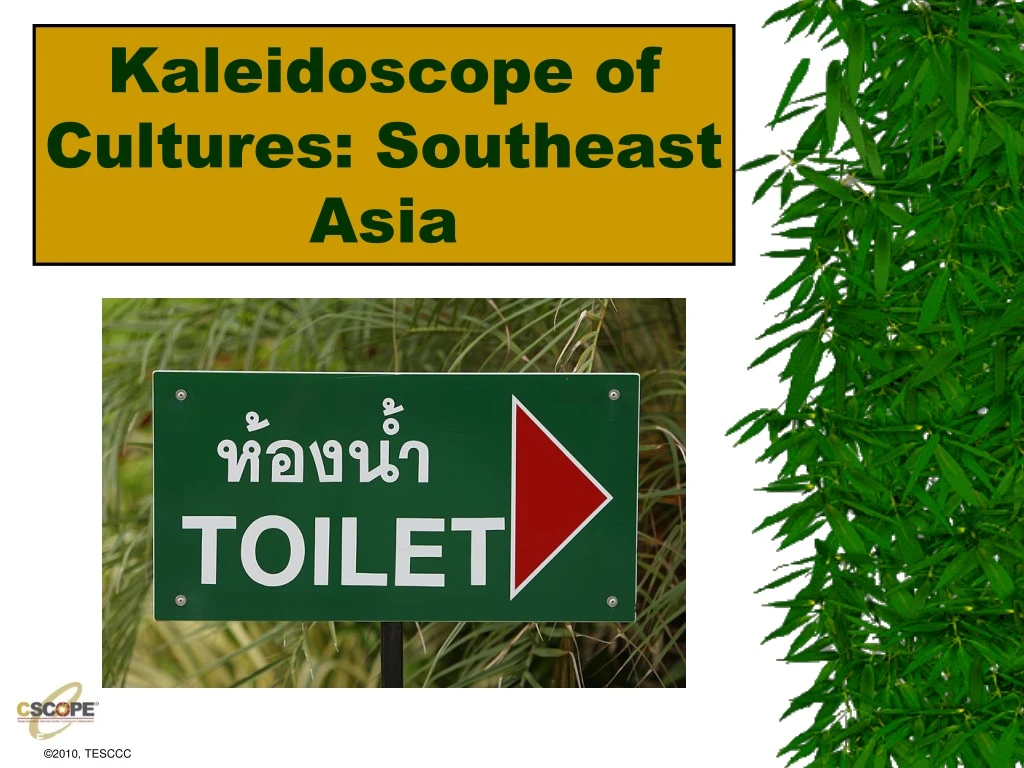 kaleidoscope of cultures southeast asia