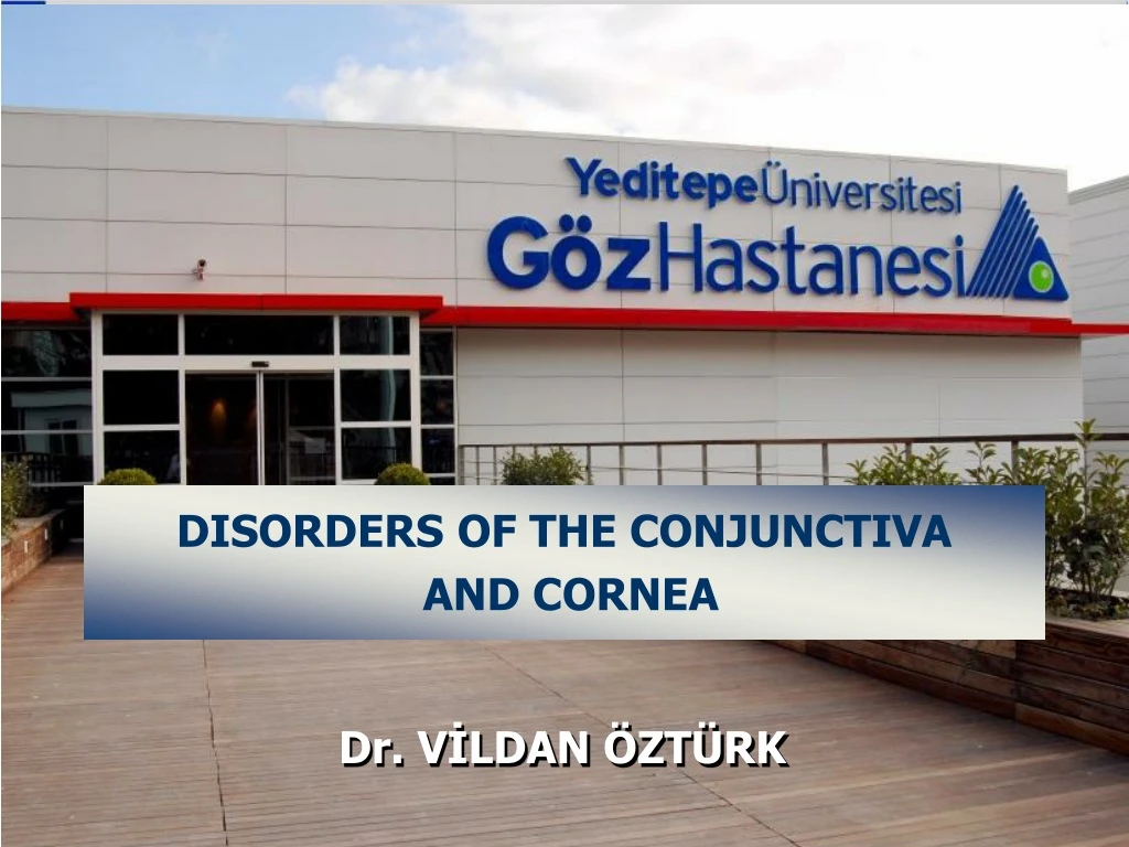 disorders of the conjunctiva and cornea