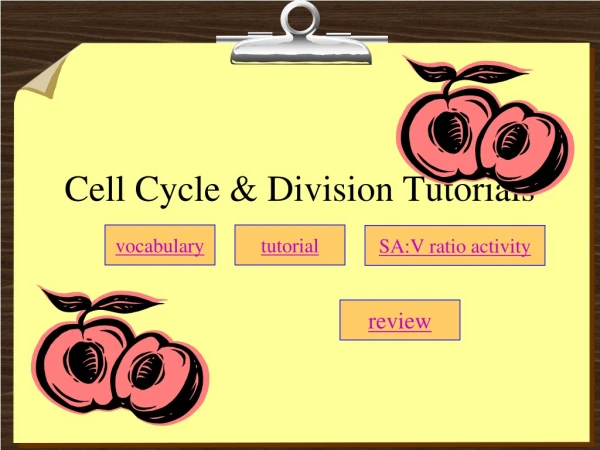 Cell Cycle &amp; Division Tutorials