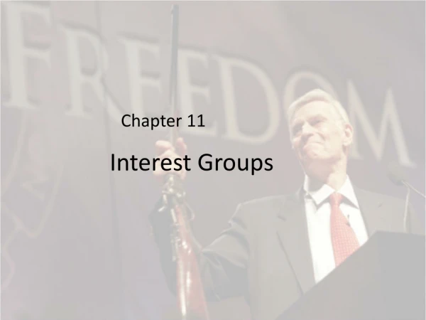 Interest Groups