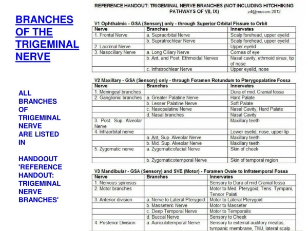 ALL BRANCHES OF  TRIGEMINAL NERVE ARE LISTED IN HANDOOUT 'REFERENCE HANDOUT: TRIGEMINAL NERVE