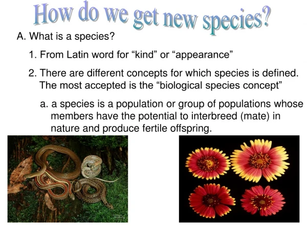 A. What is a species?          1. From Latin word for “kind” or “appearance”
