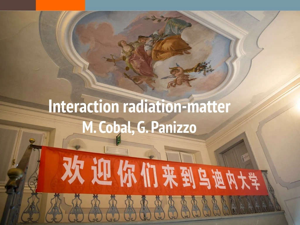 interaction radiation matter m cobal g panizzo