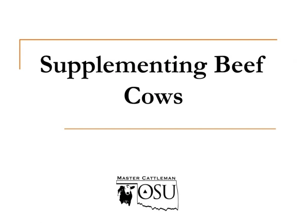 Supplementing Beef Cows
